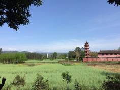 未命名