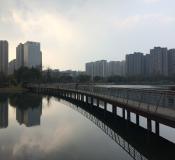 成都-大源中央公园